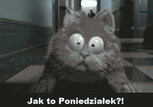Zszokowany Garfield poniedziałek